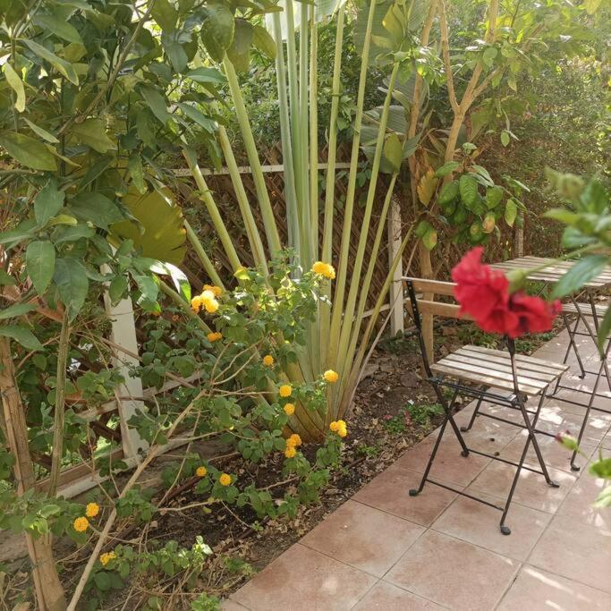 Eilat Stone Terrace-אילת סטון טראס Apartamento Exterior foto